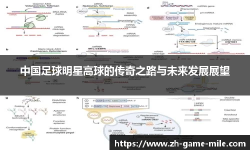 中国足球明星高球的传奇之路与未来发展展望