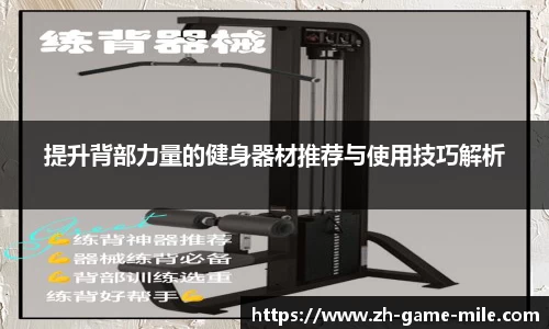 提升背部力量的健身器材推荐与使用技巧解析